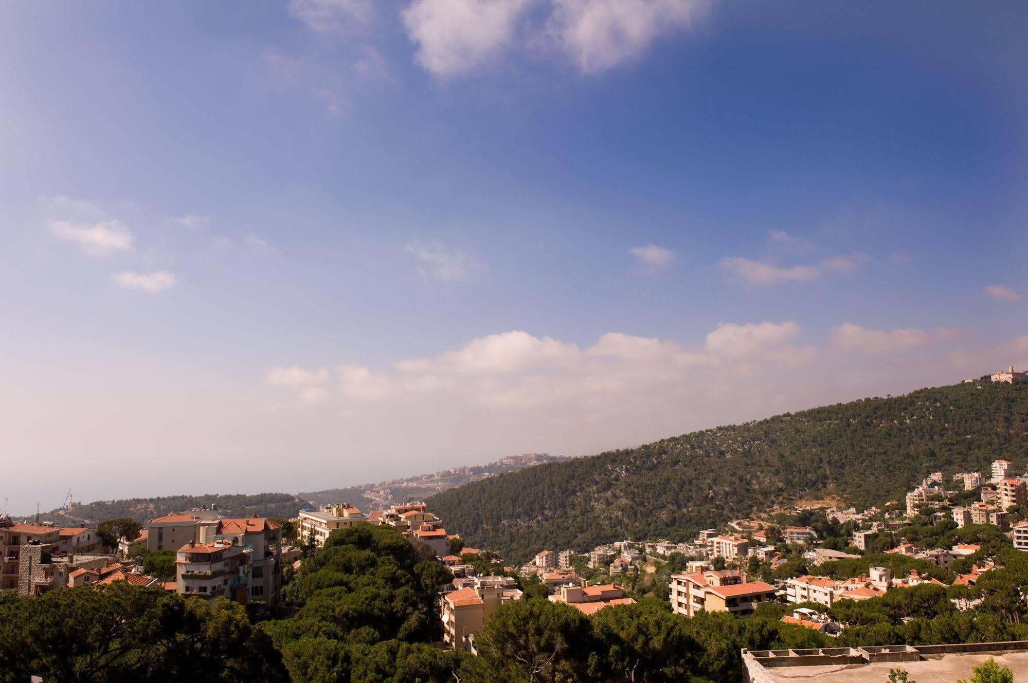 Printania Palace Hotel Brummana Kültér fotó